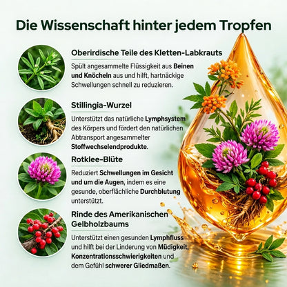 Kivo Lymphatische Detox-Tropfen