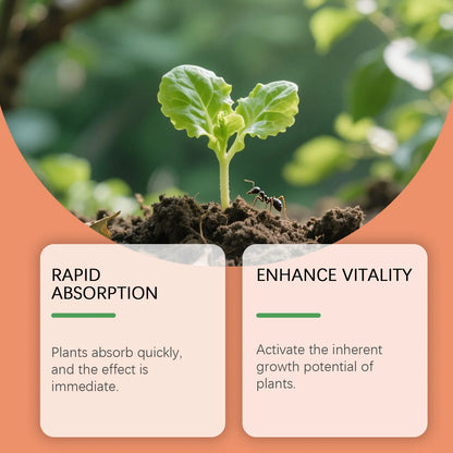 MOONSPRY 100ml/200ml  Root Drops Promote the Rapid Development of the Root System of New Plants and Enhance Growth Vitality