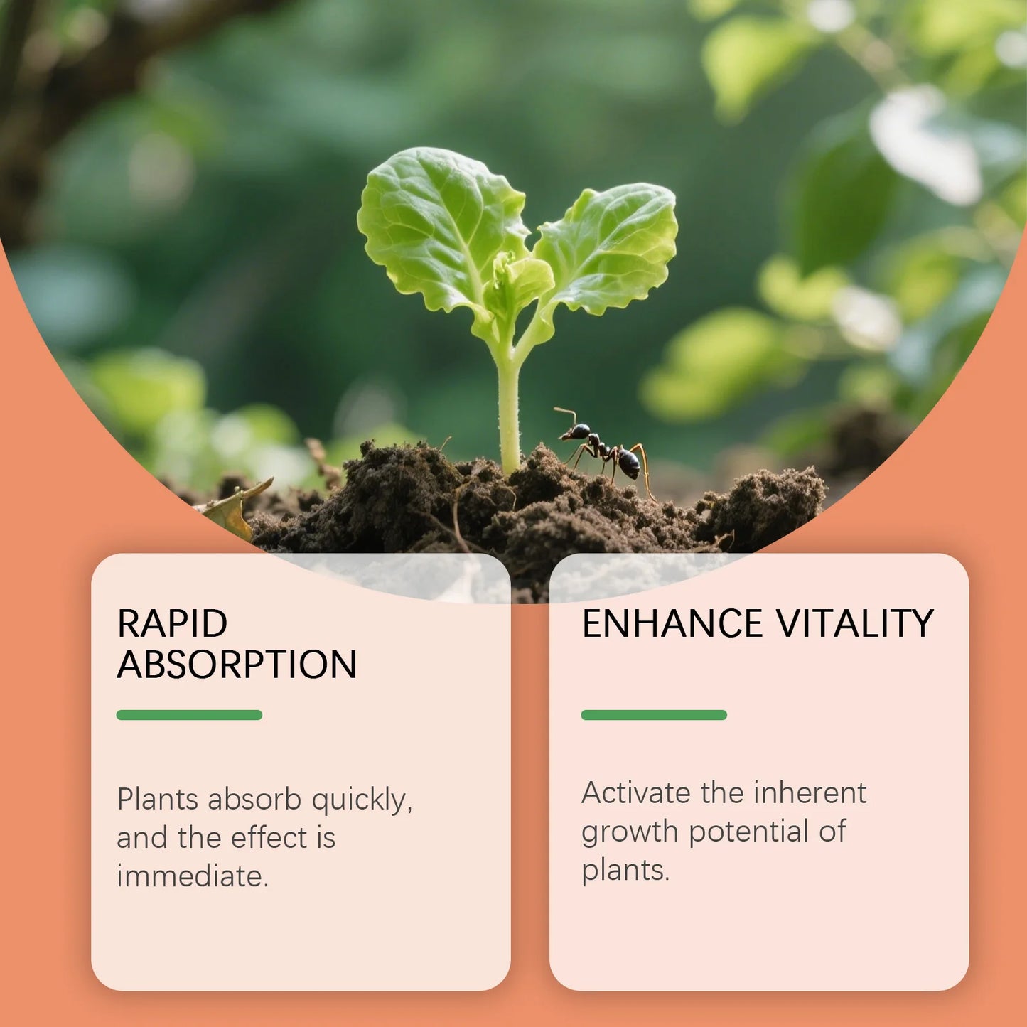 MOONSPRY 100ml/200ml  Root Drops Promote the Rapid Development of the Root System of New Plants and Enhance Growth Vitality