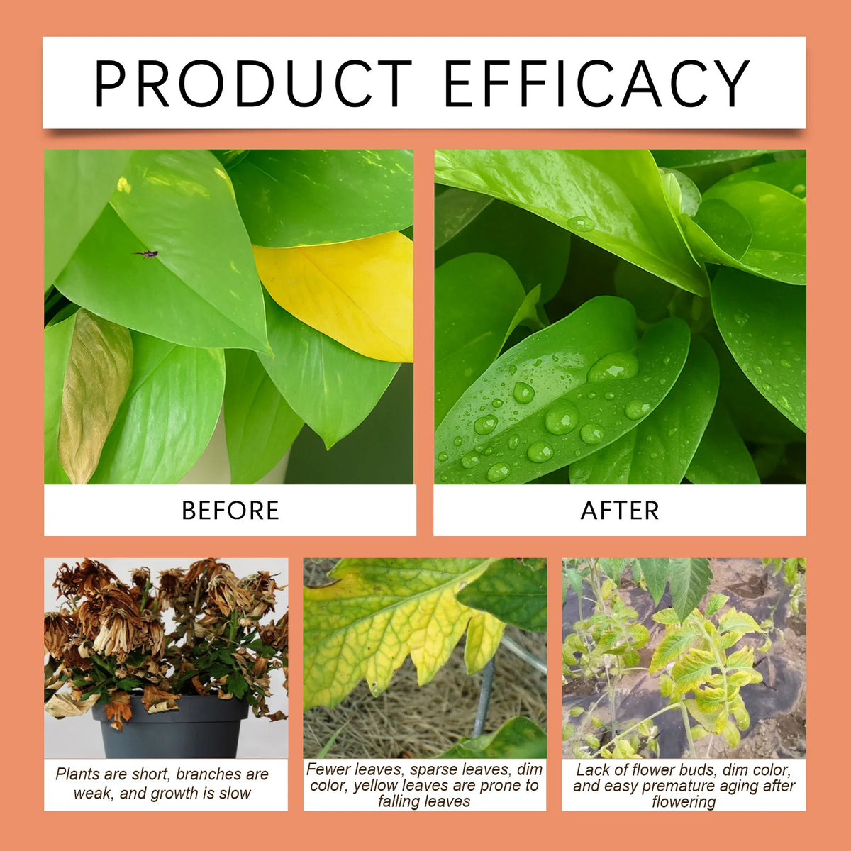 MOONSPRY 100ml/200ml  Root Drops Promote the Rapid Development of the Root System of New Plants and Enhance Growth Vitality