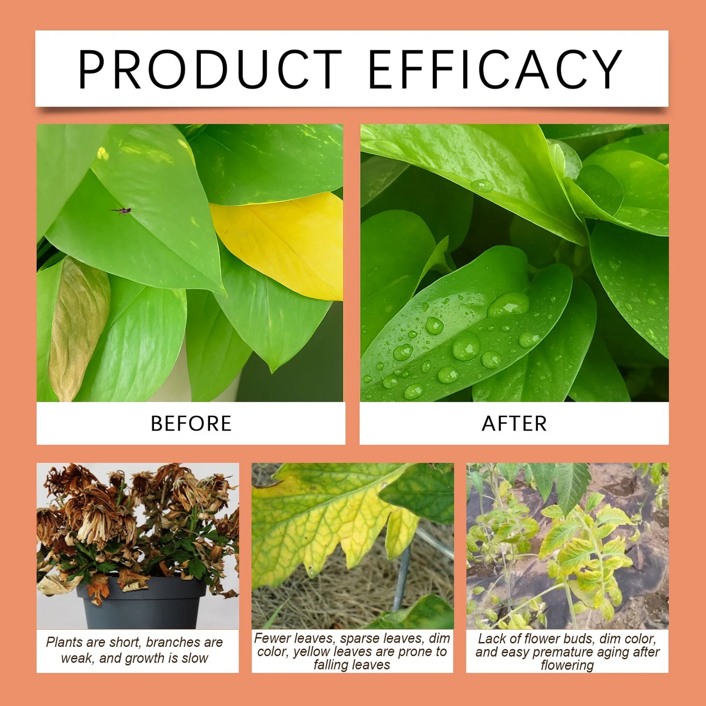 MOONSPRY 100ml/200ml  Root Drops Promote the Rapid Development of the Root System of New Plants and Enhance Growth Vitality